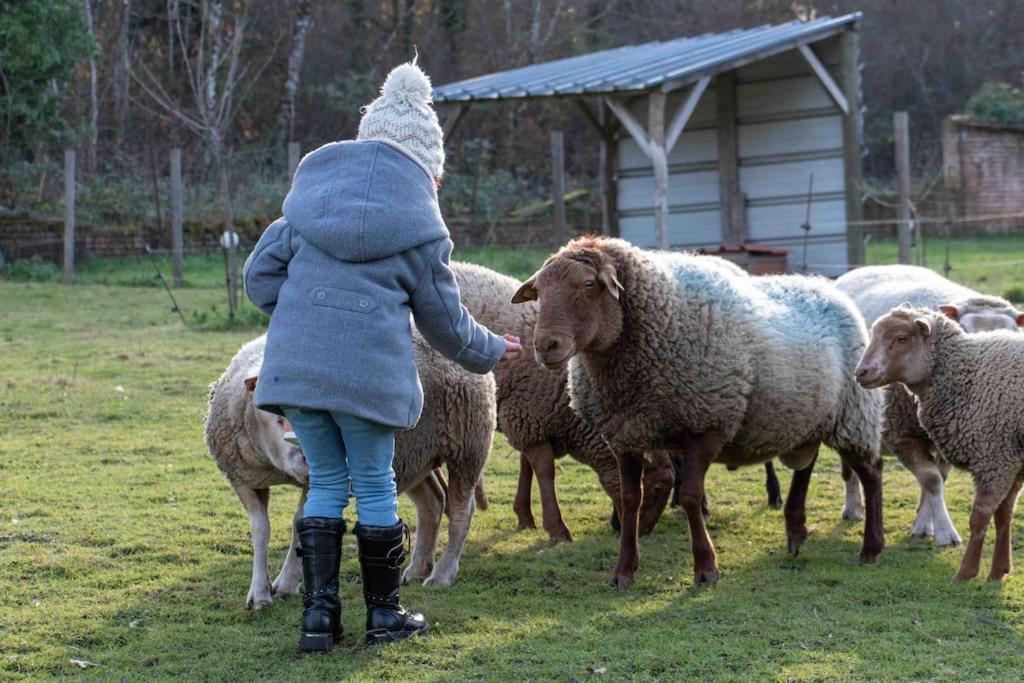 Maison Au Milieu Des Bois Et Des Animaux Jouy-le-Potier 外观 照片