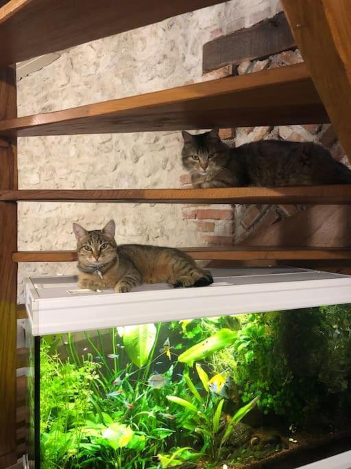 Maison Au Milieu Des Bois Et Des Animaux Jouy-le-Potier 外观 照片