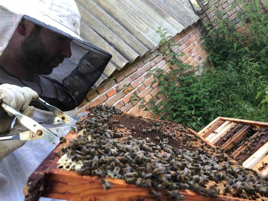 Maison Au Milieu Des Bois Et Des Animaux Jouy-le-Potier 外观 照片
